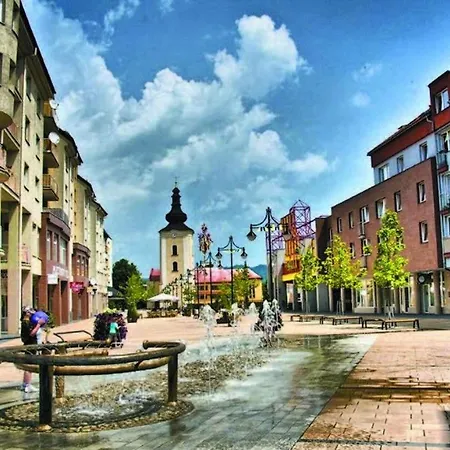 アパート V Baronke